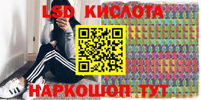 герыч Камышлов