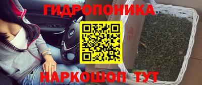 гидра Канаш